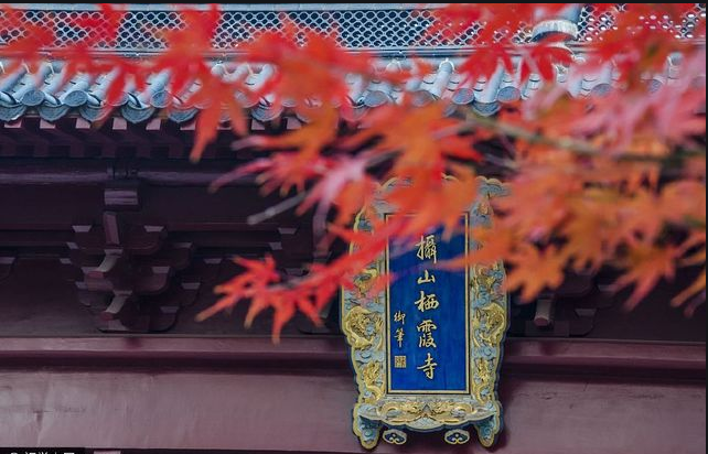 栖霞山枫叶换新颜，赏心悦目令人赞